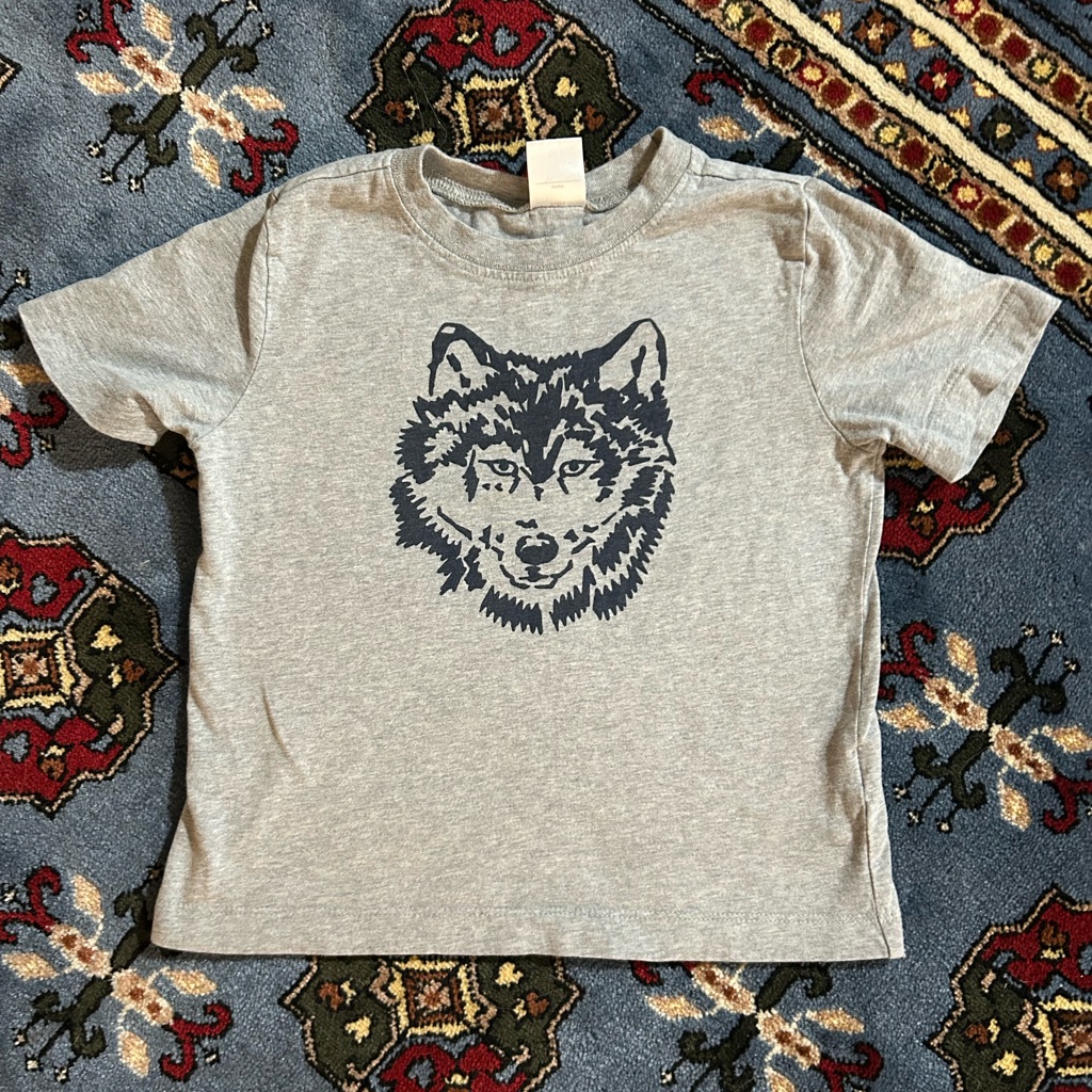 Hanna Andersson Gray Tee With Navy Wolf Graphic